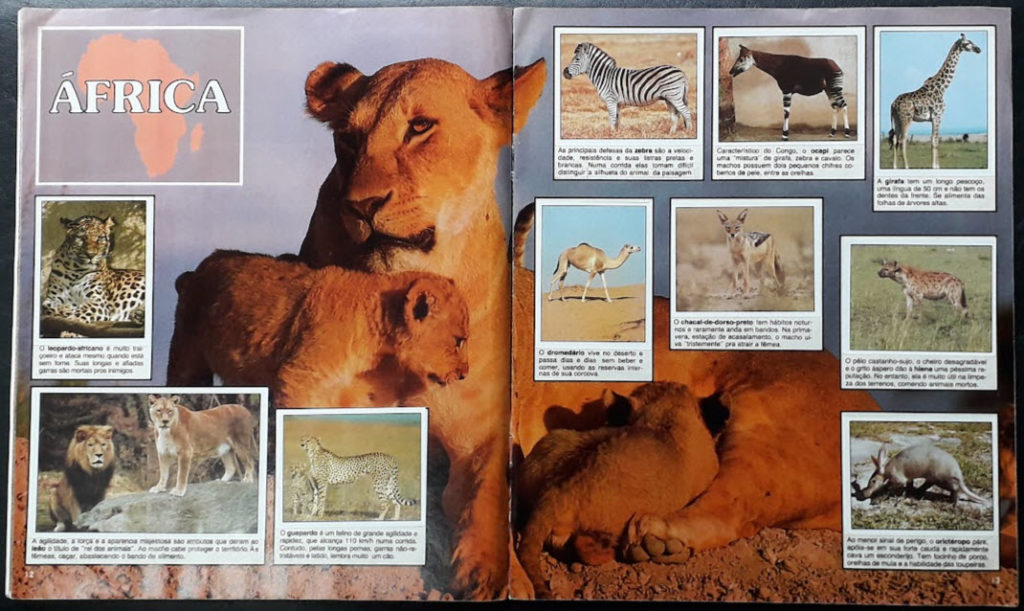 Álbum Animais de Todo o Mundo