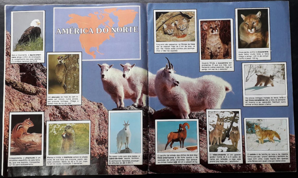 Álbum Animais de Todo o Mundo