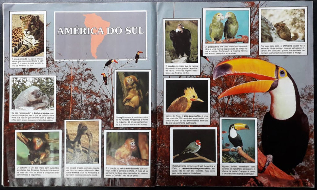Álbum Animais de Todo o Mundo