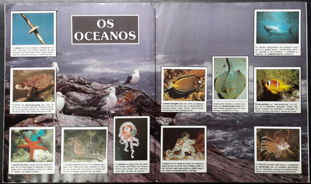 Álbum Animais de Todo o Mundo