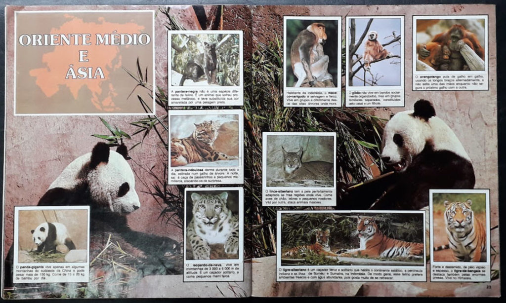 Álbum Animais de Todo o Mundo